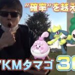 7KMタマゴ36連。色違いマネネの本当の確率は◯◯%！ダイパリメイクイベント終盤【ポケモンGO】