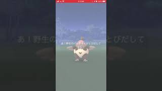 大発見の報酬[.ポケモンGO]
