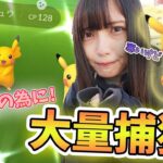 【ポケモンGO】年内までに〇〇!?ピカチュウのスポットライトアワー！寒さとの戦い？いいえ、捕獲率の悪さとの戦い！