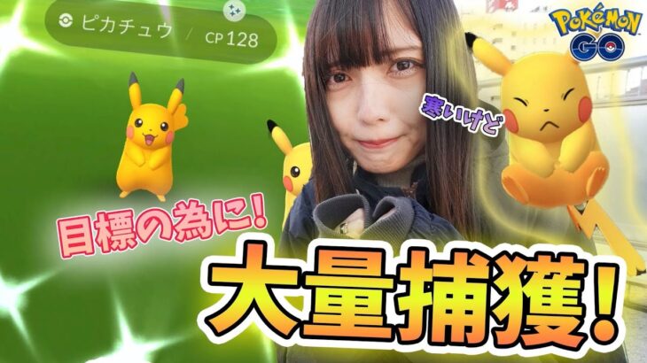 【ポケモンGO】年内までに〇〇!?ピカチュウのスポットライトアワー！寒さとの戦い？いいえ、捕獲率の悪さとの戦い！