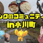 【ポケモンGO】ポケ活も観光も満喫！コリンクのコミュニティデイ in 小川町