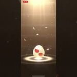 【ポケモンGO】１２連卵ガチャ～　＃Shorts