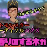 【ダイパリメイク】～ポケットモンスタービューティフルバグズ～甘い香りのする木ガチャ！