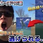 色違い個体値100キュレム降臨！でも、逃げられる？【ポケモンGO】