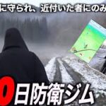 天然の霧防御で目視不可能！190日防衛を達成した幻の田んぼの奥にある秘境ジム突撃します【ポケモンGO】