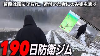 天然の霧防御で目視不可能！190日防衛を達成した幻の田んぼの奥にある秘境ジム突撃します【ポケモンGO】