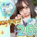 ウインターイベント2日目！色違いのダルマッカ狙って7KMタマゴ26連！【ポケモンGO】