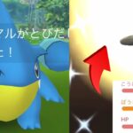 【ポケモンGO】まさかの神引き！？今年最高クラスの色違いレアポケモンが降臨・・！コミュデイどうだった・・？【コミュニティデイ・フカマル・クリムガン・色違いポケモン】