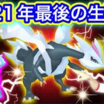 今年最後の生配信になるかも！キュレム色違い狙いつつポケ活するよん【ポケモンGO】