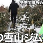 みんぽけにも載ってない伝説の雪山ジム登山したら１発金ジム狙える説【ポケモンGO】