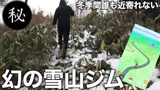 みんぽけにも載ってない伝説の雪山ジム登山したら１発金ジム狙える説【ポケモンGO】