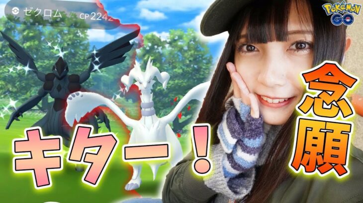 やっとキター!?色違いのゼクロム、レシラム狙ってレイドに参戦！【ポケモンGO】