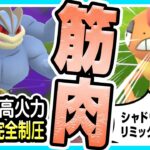 【ポケモンGO】ハイパーリーグリミックス（バトルリーグ/シーズン10前半）でカイリキー入り最強パーティを試す！環境トップのガラマ、ズルズキンを一掃！鬼火力で等倍相手も圧倒！【初心者向け実況】