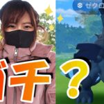 「ポケモンGO」ゼクロムレシラムレイド🔥100％キター！✨色違い出すぞー‼