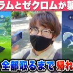 【ポケモンGO】レシラムとゼクロムが襲来中！！色違い全部取れるまで帰れません！！怒涛の28連戦！！おこうの日イベントでも〇〇の色違いも！？