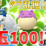 タマザラシ！色違い！100％！つららばり強すぎてガチ厳選案件！今年初っ端の最重要コミュニティデイ！！！【ポケモンGO】