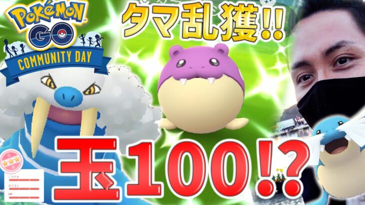 タマザラシ！色違い！100％！つららばり強すぎてガチ厳選案件！今年初っ端の最重要コミュニティデイ！！！【ポケモンGO】