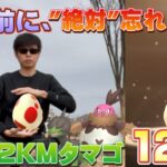 12KMタマゴ12連！割る前におトクなことは絶対に忘れるな！ロケット団イベントの続きは12KMタマゴのラインナップの…？【ポケモンGO】