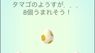 5kmたまご8連ガチャの結果は… #ポケモンgo