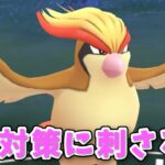 【生配信】ピジョット入りパーティを模索していく！ #719【ポケモンGO】