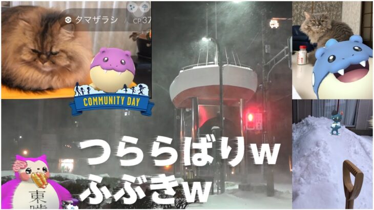 吹雪過ぎた年末年始＆タマザラシ コミュニティデイ DIGEST【ポケモンGO】