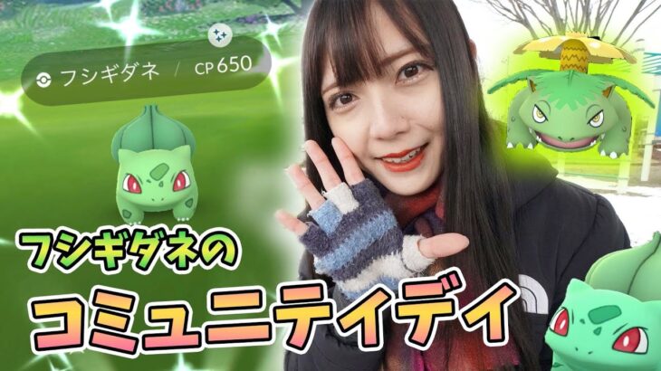 復刻！フシギダネのコミュニティディ！色違いもGBL個体も！【ポケモンGO】