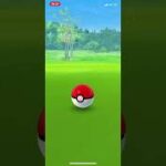 ポケモンGO 野生のジュペッタ出現‼️ゲットなるか⁉️