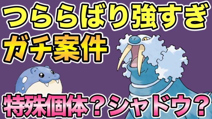 【コミュデイ前日】ガチ案件となったトドゼルガ！特殊個体やシャドウについて考察【ポケモンGO】