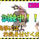 【ポケモンGO】通常ハイパーリーグ！バルジ編成でまったりとレート上げましょ！