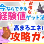 色違いマグマッグ&メガプテラ実装！！今ならできるお得な経験値稼ぎとは！？高まるエネルギーイベント攻略ガイド！！【ポケモンGO】