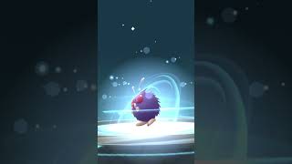 【ポケモンGO】コンパン→モルフォン　進化　[Pokemon GO] Compan → Morphon Evolution