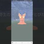 深夜のポケ活✨色違い探し結果😁【ポケモンGO】#Shorts　#ポケモン　#Pokémon