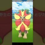 ポケモンGOカエンジシ♂しかし…フラダリの呪いが！？#shorts