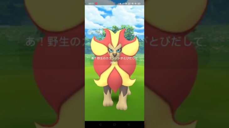 ポケモンGOカエンジシ♂しかし…フラダリの呪いが！？#shorts