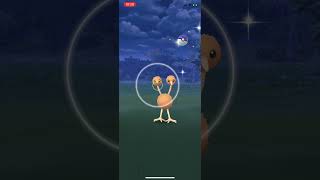 ポケモンGo、ドードー‼️ #shorts