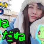 フシギダネコミュディ復刻、PVP勢ではない人の３時間。【ポケモンGO】