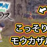 【アルセウス】Pokémon LEGENDS アルセウス配信#2【ポケモンGOおじさん】