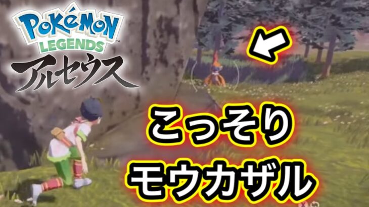 【アルセウス】Pokémon LEGENDS アルセウス配信#2【ポケモンGOおじさん】