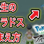 【アルセウス】Pokémon LEGENDS アルセウス配信#3【ポケモンGOおじさん】