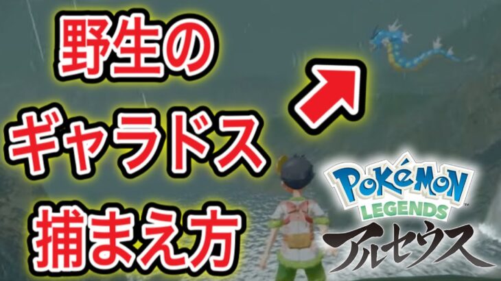 【アルセウス】Pokémon LEGENDS アルセウス配信#3【ポケモンGOおじさん】