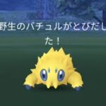 バチュル編#ポケモンgo #excellent