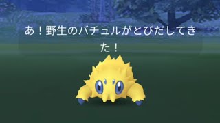 バチュル編#ポケモンgo #excellent