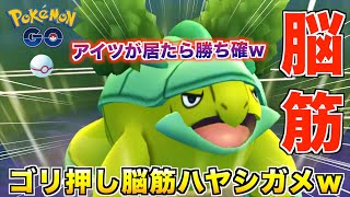 あのポケモンを一瞬で倒す『ハヤシガメ』が普通に強い件www【ポケモンGO】