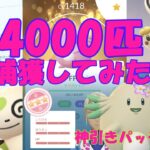 【4000匹捕獲】バレンタインイベント