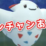 【生配信】レジェンド見えてきたか！？ #743【ポケモンGO】