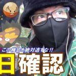 【ポケモンGO】これはただのボール集めイベントじゃねぇ！ジョウトツアー事前イベントの前日確認！「絶対やっておきたいこと＋なるべくやっておきたいこと」を徹底解説スペシャル！【大発見ガチャ】