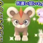 今、やるべき事を教えます。ズバリ○○です。あとご報告【ポケモンGO】