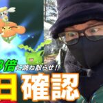 【ポケモンGO】激レアが過ぎる！最後に残った「オレンジベベ」を捕獲せよ！新技「アクロバット」を習得できるハネッココミュデイの前日確認スペシャル！【ワタッコ強い？】