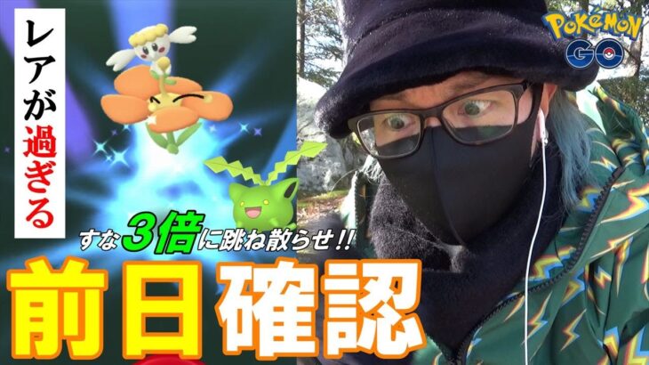 【ポケモンGO】激レアが過ぎる！最後に残った「オレンジベベ」を捕獲せよ！新技「アクロバット」を習得できるハネッココミュデイの前日確認スペシャル！【ワタッコ強い？】