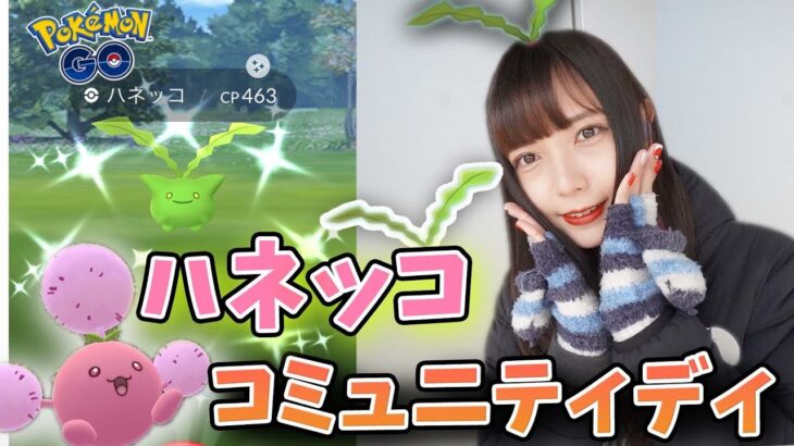 ハネッコのコミュニティディ！星の砂３倍！美味しい〜！【ポケモンGO】